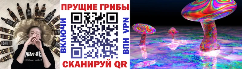 Купить закладки  Долинск  Псилоцибиновые грибы GOLDEN TEACHER 