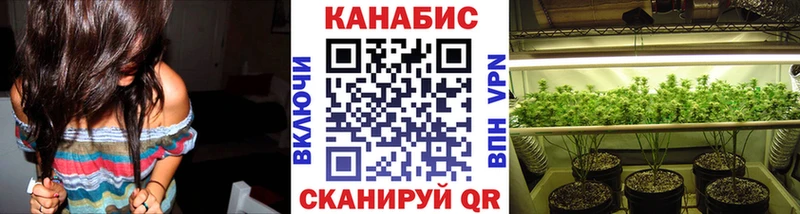 Конопля сатива  Купить где  Долинск 